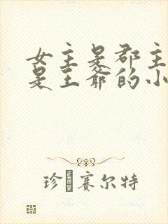 女主是郡主男主是王爷的小说