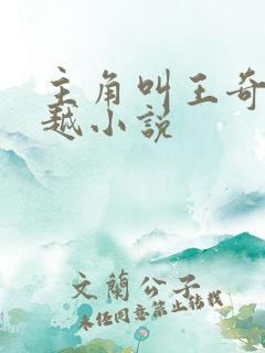 主角叫王奇的穿越小说