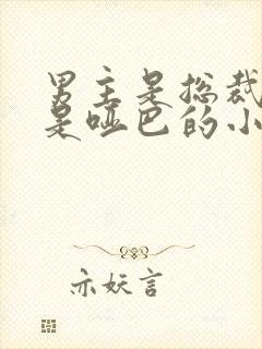 男主是总裁女主是哑巴的小说