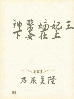神医嫡妃王爷在下妾在上