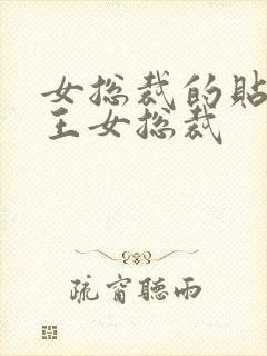 女总裁的贴身兵王女总裁