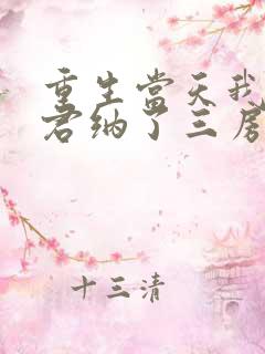 重生当天我给夫君纳了三房小妾