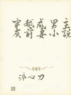 穿越成男主的炮灰前妻小说