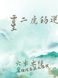 贾二虎的逆袭人生