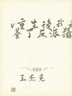 v重生后,我娇养了反派摄政王