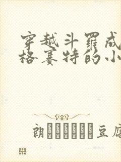 穿越斗罗成为鲁格赛特的小说