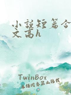 小说短篇合集爽文高h