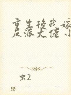 重生后我嫁给了反派大佬 小说