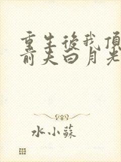 重生后我顶替了前夫白月光好看吗