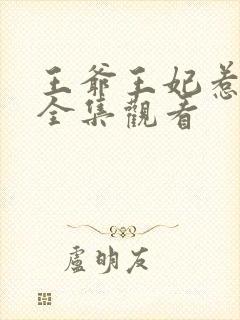 王爷王妃惹不得全集观看