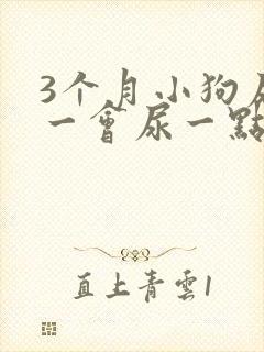 3个月小狗尿频一会尿一点