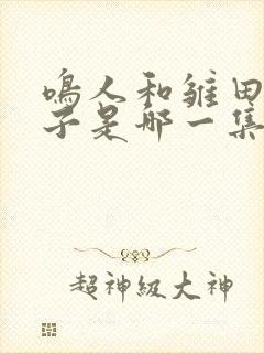 鸣人和雏田生孩子是哪一集