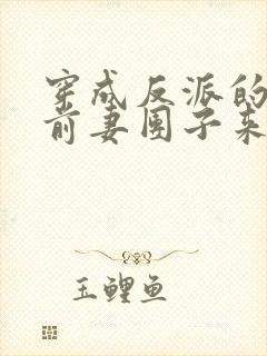 穿成反派的炮灰前妻团子来袭