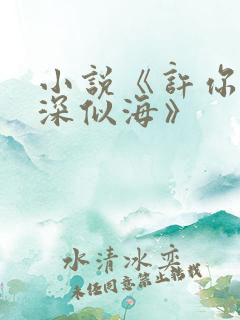 小说《许你情深深似海》