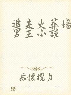 追夫火葬场的双男主小说