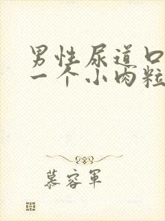 男性尿道口上长一个小肉粒