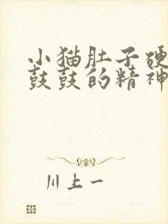 小猫肚子硬硬的鼓鼓的精神很好