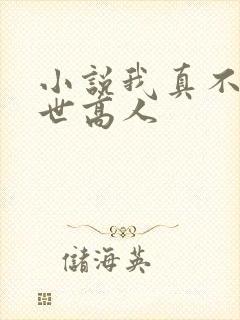小说我真不是隐世高人