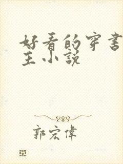 好看的穿书双男主小说