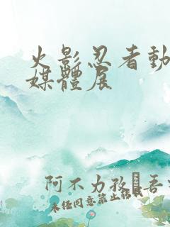 火影忍者动画多媒体展