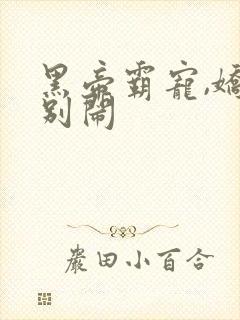黑帝霸宠,娇妻别闹