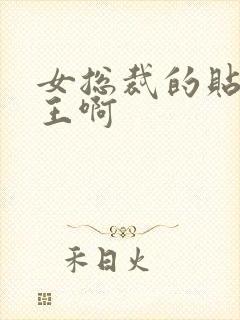 女总裁的贴身兵王啊