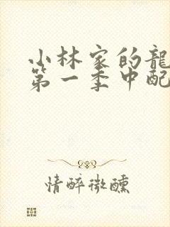 小林家的龙女仆第一季中配版