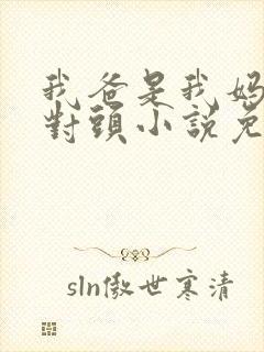 我爸是我妈的死对头小说免费阅读