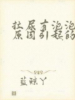 拉尿有泡泡什么原因引起的