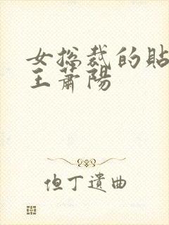 女总裁的贴身兵王萧阳