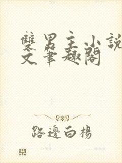 双男主小说高干文笔趣阁