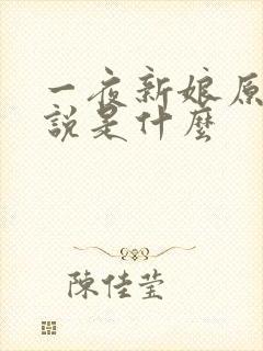 一夜新娘原著小说是什么