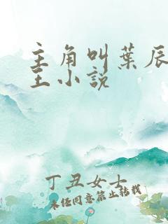 主角叫叶辰的兵王小说