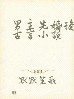 男主先婚后爱的古言小说