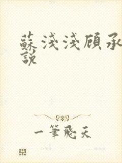 苏浅浅顾承聿小说