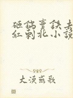 砸锅卖铁去上学红刺北小说未删版