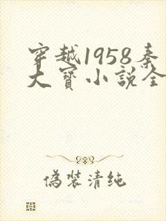 穿越1958秦大宝小说全文阅读