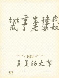 txt重生后我成了老婆奴下载