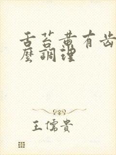 舌苔黄有齿痕怎么调理