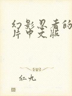 幻影忍者的动画片中文版