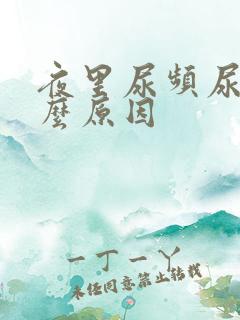 夜里尿频尿多什么原因