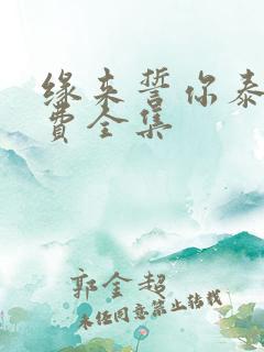 缘来誓你泰剧免费全集