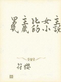 男主比女主小十几岁的小说