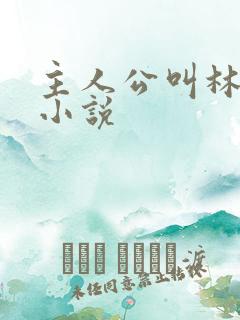 主人公叫林辰的小说