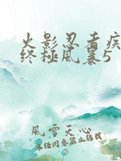 火影忍者疾风传终极风暴5