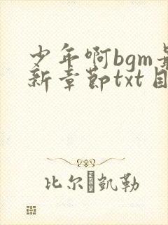 少年啊bgm最新章节txt目录
