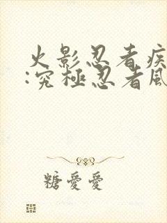 火影忍者疾风传:究极忍者风暴3