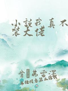 小说我真不是女装大佬