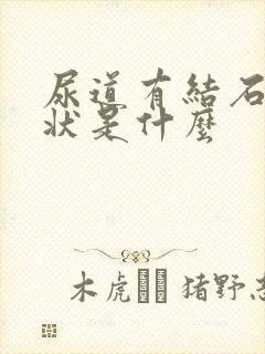 尿道有结石的症状是什么