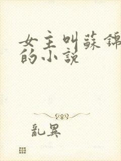 女主叫苏锦重生的小说